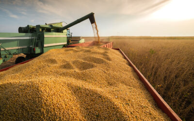 A importância da desinfecção de ambientes no agronegócio