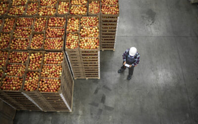 Como evitar a contaminação dos alimentos através da higienização a seco